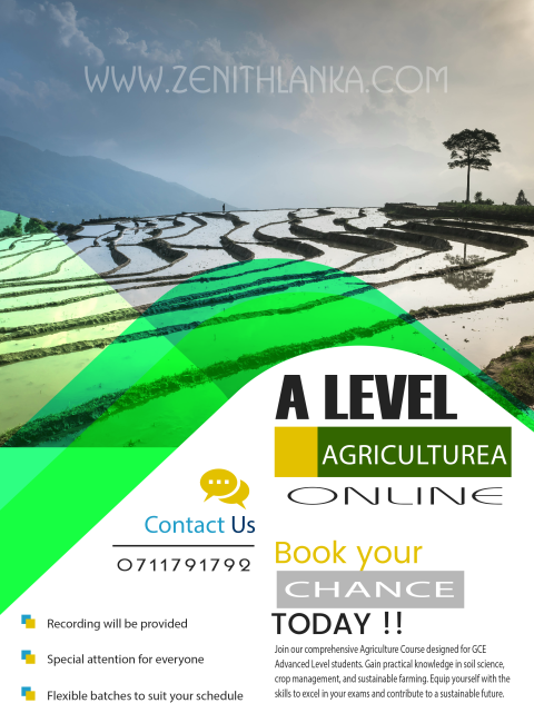 Construction Company Flyer Template